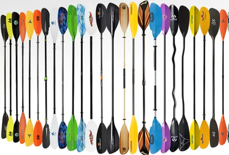 Kayak Paddle Types & Best Affordable Kayak Paddles Flat Bottom Boat World